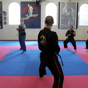 Maisie Emmerson's Black Belt Academy in action